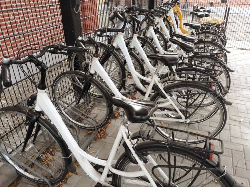 foto uitleen fietsen.jpg