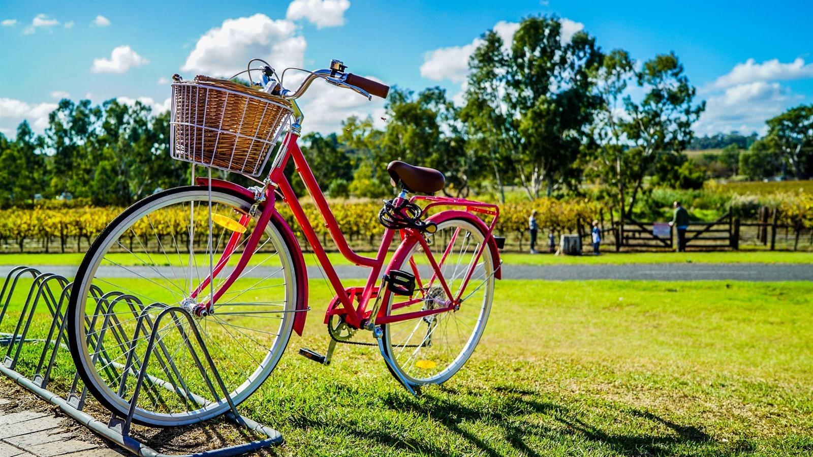 fietsen-is-gezond_1458_xl